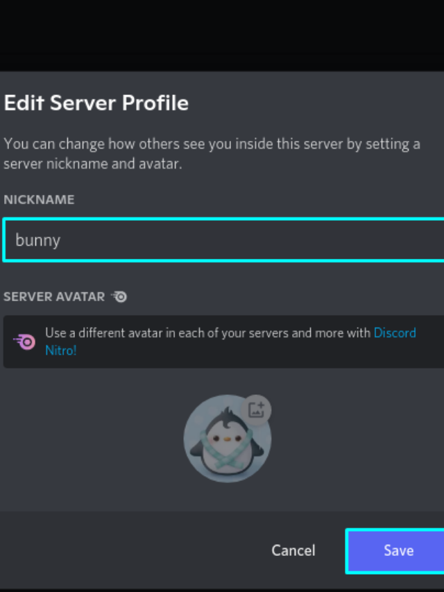 how-to-change-your-nickname-in-discord-my-ultimate-success-tips